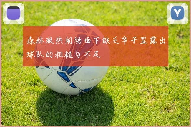 森林狼热闹场面下缺乏华子显露出球队的粗糙与不足